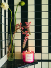 Hand Poured Candle in De Las Flores
