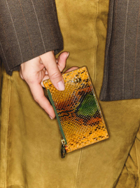 Helena Python Cardholder in Green/Amber