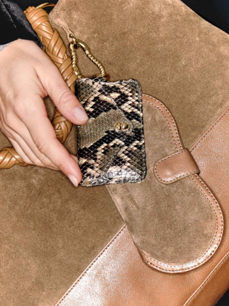 Glasses Case/Card Holder in Ash Python