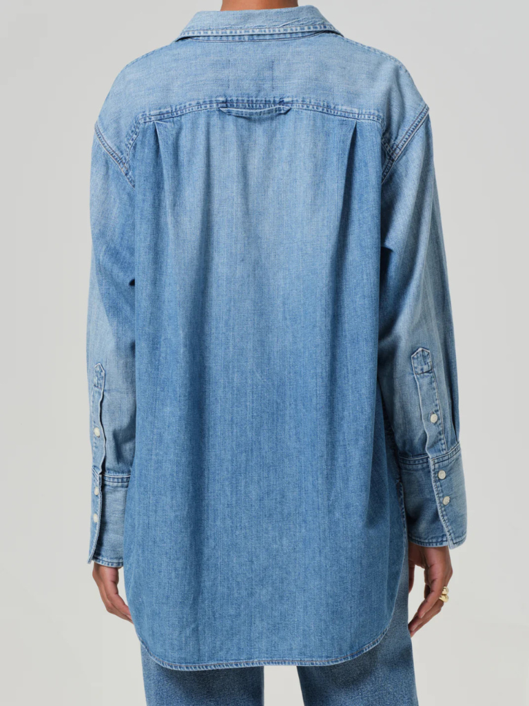 Solene Denim Shirt in Loire