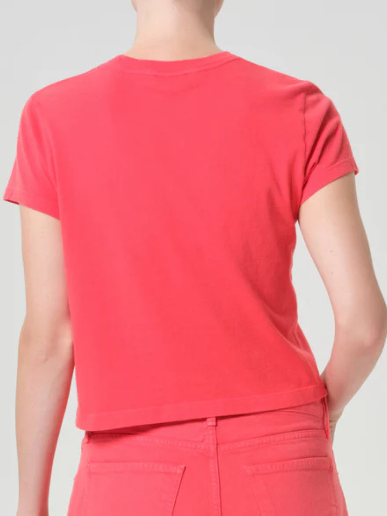 Adine Shrunken Tee in Carnival