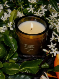 Vegetable Wax Candle in Night Blooming Jasmine & Damask Rose