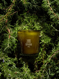 Vegetable Wax Candle in Climbing Tuscan Rosemary