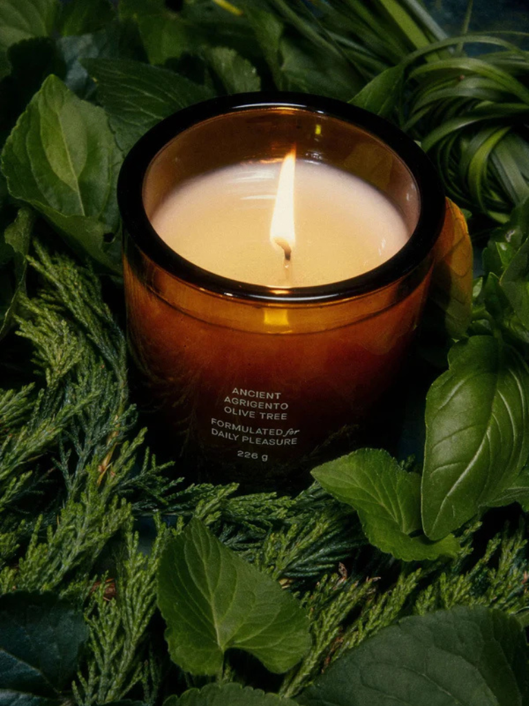 Vegetable Wax Candle in Ancient Agrigento Olive Tree