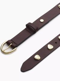 Brynn Studded Belt in Dark Espresso