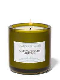 Vegetable Wax Candle in Ancient Agrigento Olive Tree