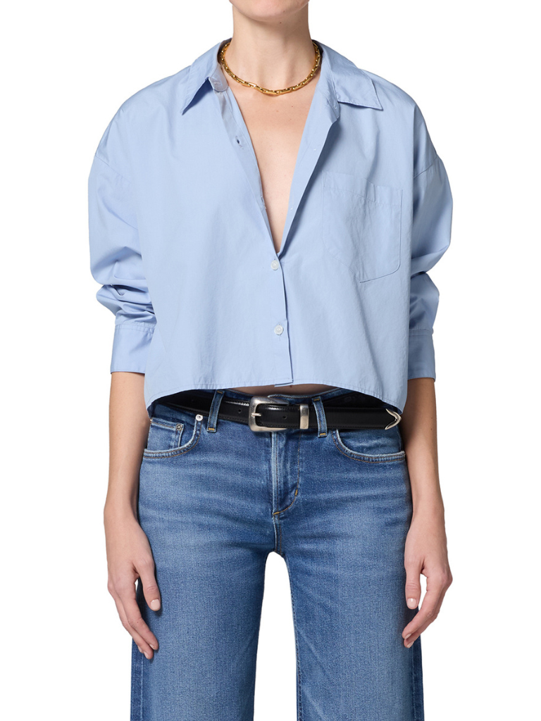 Petit Ami Button Up in Blue