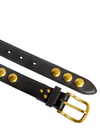 Festival Studded Belt in Noir/Brass