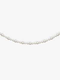 Cleo Choker Necklace in Silver