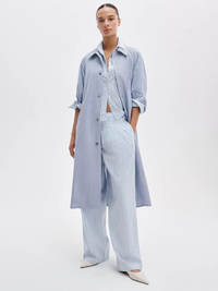 Gayle Striped Poplin Trench Coat in Blue Stripe