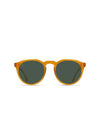 Norie Sunglasses in Honey/Bottle Green - Size 53